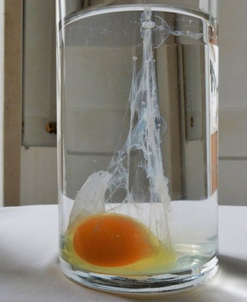 Cleansing through Eggs